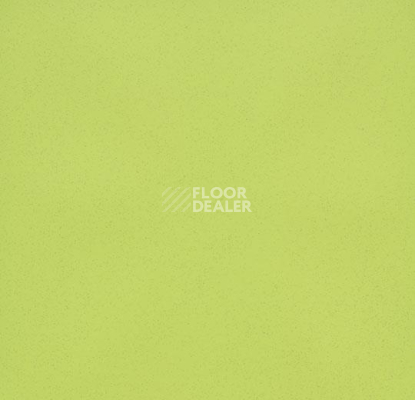 Линолеум Forbo Eternal Colour 40612 yellow green фото 1 | FLOORDEALER